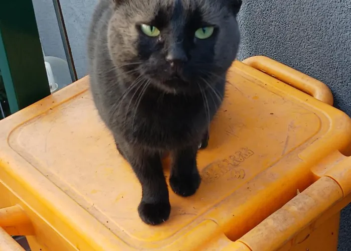 Valkane Pet Friendly 150m From The Stunning Valkane Beach, Indoor Pools-fitness And Mall *